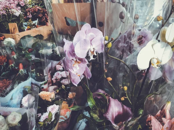 Orchideje v průhledných obalech za slunečného dne venku — Stock fotografie