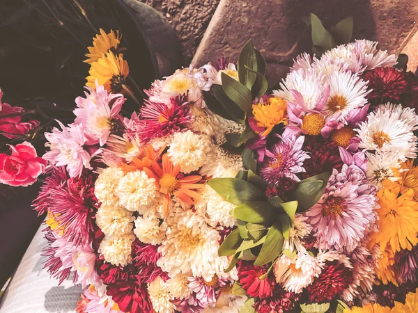 Různobarevné květy za slunečného dne venku. Close-up shot — Stock fotografie