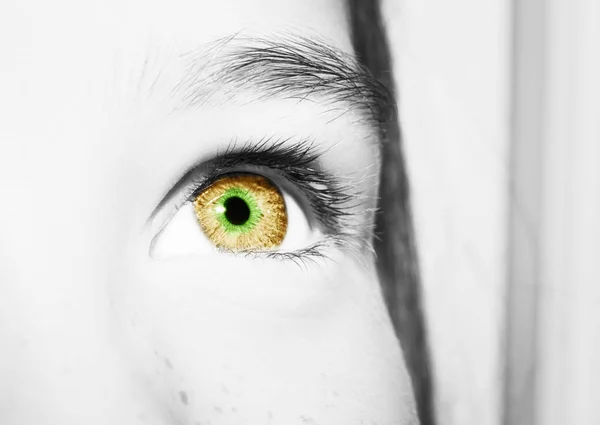 A beautiful insightful look eye. Close up shot — Stock Photo, Image