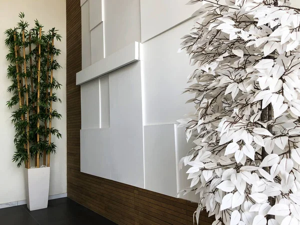 Decorative indoor flower standing on the floor in the room.