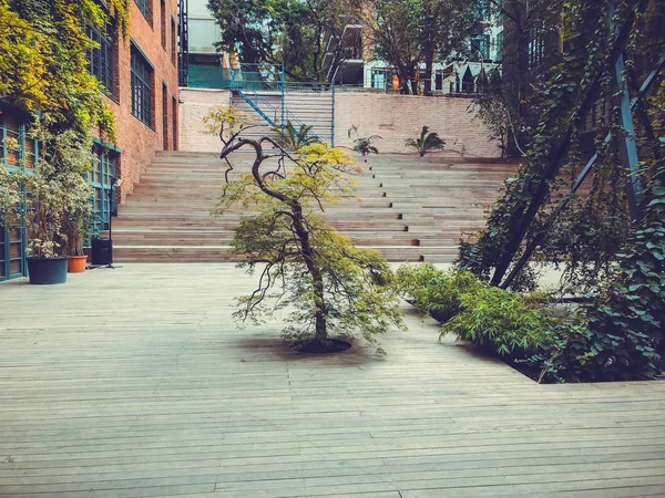 Eco-estilo en el moderno patio con hermosas vistas, árbol decorativo contra las escaleras — Foto de Stock