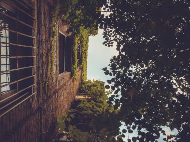 Uzun boylu eski tuğla yeşil ağaçlar gökyüzüne karşı yanındaki bina. Kısmen yapraklı bina