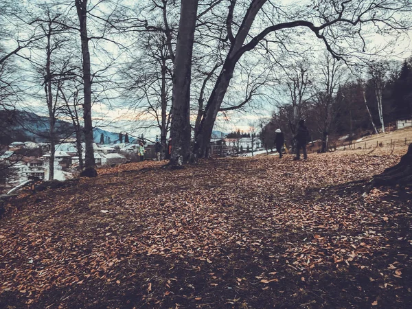 Otoño en el bosque montañoso. Niños caminando en el bosque. Bosque con árboles desnudos, hojas de otoño naranja caída . — Foto de Stock