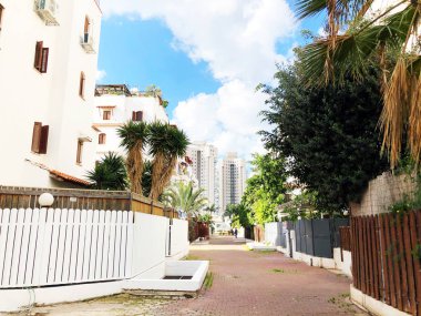 Rishon Le Zion, İsrail-4 Aralık 2018: Konut binalar ve ağaçlar Rishon Le Zion, İsrail