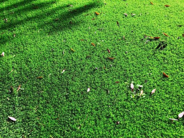 Fechar o fundo relva grama artificial — Fotografia de Stock