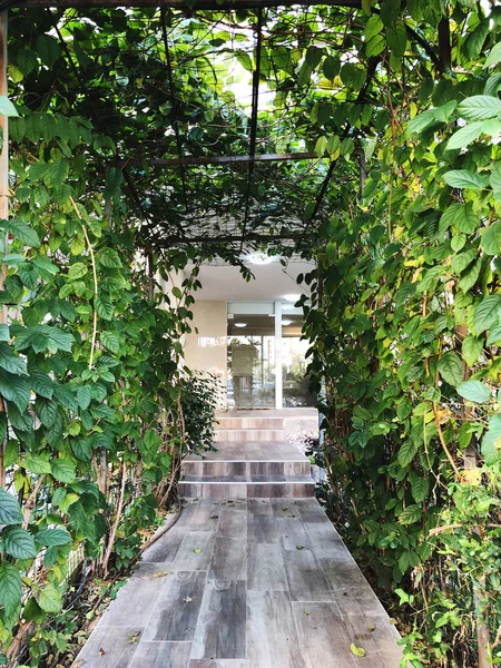 Entrada a la casa, un arco cubierto de hiedra verde — Foto de Stock