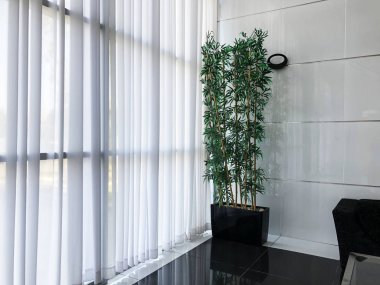 Tencere windows yakınındaki dekoratif çiçeklerle büyük Salonu