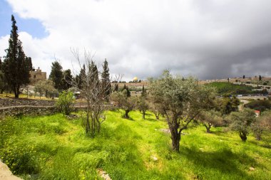 İsrail Zeytin Dağı 'ndan Kudüs' e panoramik manzara.