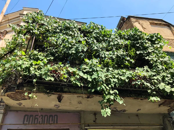 TBILISI, GEORGIA - 10 de julio de 2018: Casas y calles estrechas de la ciudad vieja de Tiflis, Georgia —  Fotos de Stock