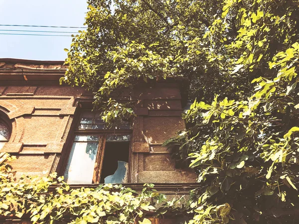 Old Tbilisi architecture, yard, windows in summer day. Green leaves against the old building — Stock Photo, Image