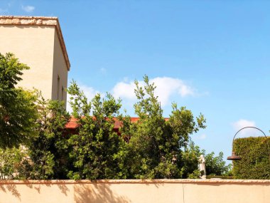 doğal yeşil ağaçlar ve çalılar arka yolu ile