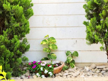 Beyaz ahşap çit ve bir sürü güzel çiçek.