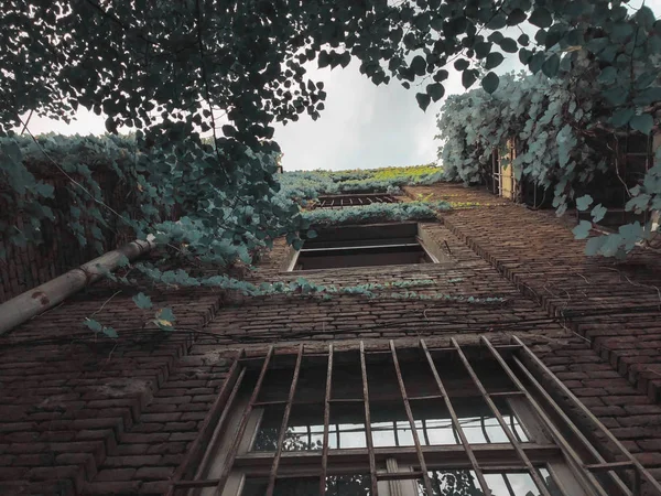 Alto edifício de tijolos velho ao lado de árvores verdes contra o céu. Construção parcialmente folhosa — Fotografia de Stock