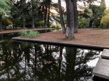 Parkta sonbahar, gölün kenarında ağaçlar, göldeki ağaçların yansıması. Düşen yapraklar. Sonbaharın renkleri