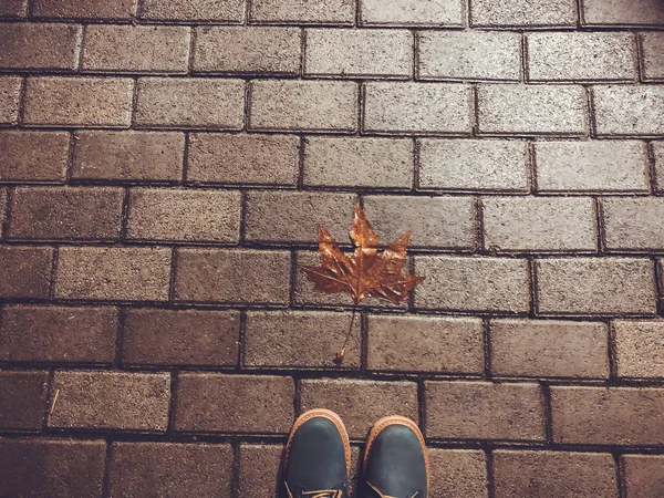 Feuille tombée d'automne sur les briques de béton gris décoratif. Ça fait partie des chaussures. Gros plan — Photo