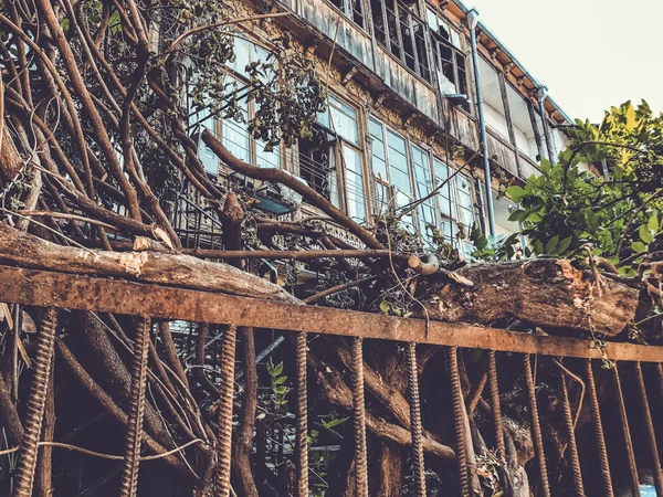 Antiga arquitetura Tbilisi, janela e decoração exterior no dia de verão. — Fotografia de Stock