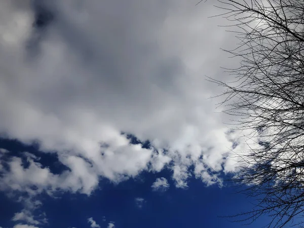 Céu e nuvens em um dia de primavera. Ramos de árvores contra o céu — Fotografia de Stock