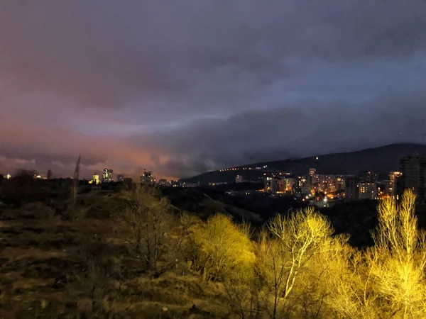 Night view opening on to the valley. Trees against the night sky. City lights in the distance — Stock Photo, Image