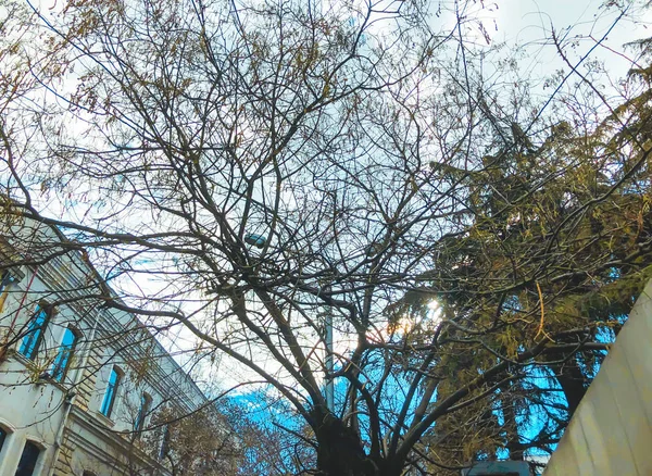 Arquitectura Tbilisi antigua, calles del casco antiguo en el día de primavera . — Foto de Stock