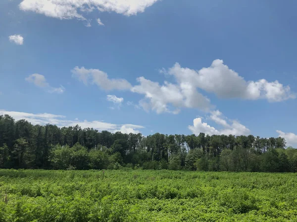 Cielo nublado, nubes, vista desde el coche en la carretera. Viaje por carretera — Foto de Stock