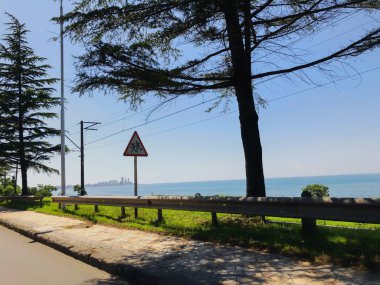 Bulutsuz gökyüzü, ufuk, deniz, yol, yola yakın ağaç