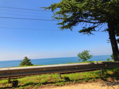 Bulutsuz gökyüzü, ufuk, deniz, yol, yola yakın ağaç