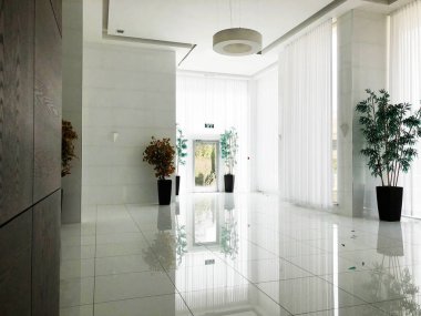 Binanın vestibüle tencere yeşil bitkiler