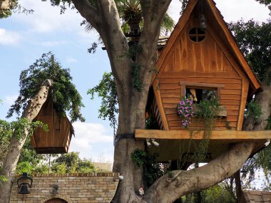 Özel bir alanda Amazing treehouses . Ağaç konseptinde yaşamak. Alternatif yaşam.