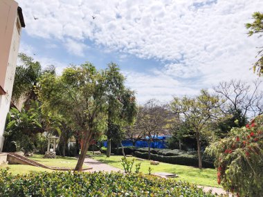 Bahçe ve bahçe bahçe üzerinde ağaçlar ve çim ile