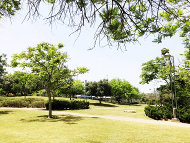 Bahçe ve bahçe bahçe üzerinde ağaçlar ve çim ile