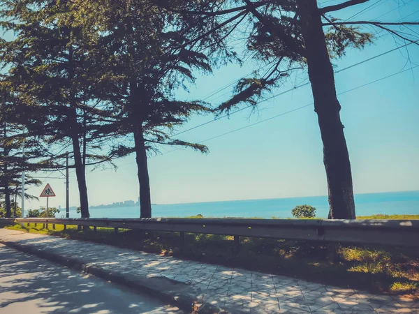 Cloudless sky, horizon, sea, road, tree near the road