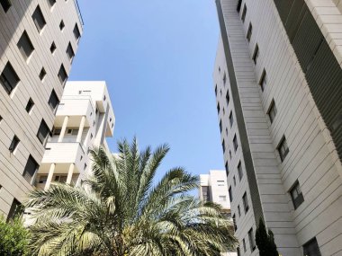 Rishon Le Zion, İsrail 07 Ekim 2019: Rishon Le Zion, İsrail 'deki konut binaları ve bitkiler