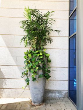 Dikdörtgen turkuaz cam pencere ve ağaç manzaralı modern binanın ön cephesi.