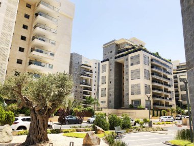 Rishon Le Zion, İsrail, 07 Ekim 2019: Rishon Le Zion, İsrail 'deki zeytin ağacı konutları