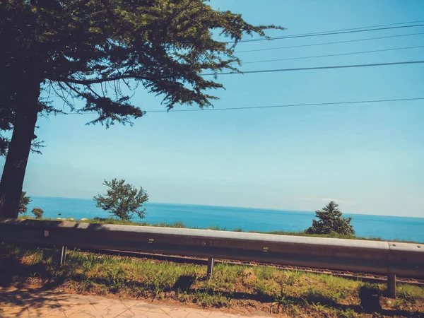 Cloudless sky, horizon, sea, road, tree near the road