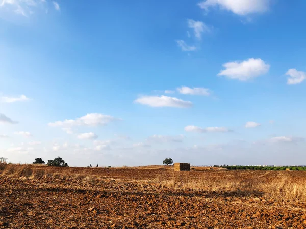 İsrail 'de yazın hasattan sonra saman balyalarıyla dolu tarla — Stok fotoğraf