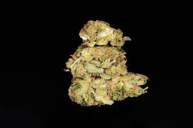 Siyah arka planda esrar tomurcuğu. Makro Marijuana 