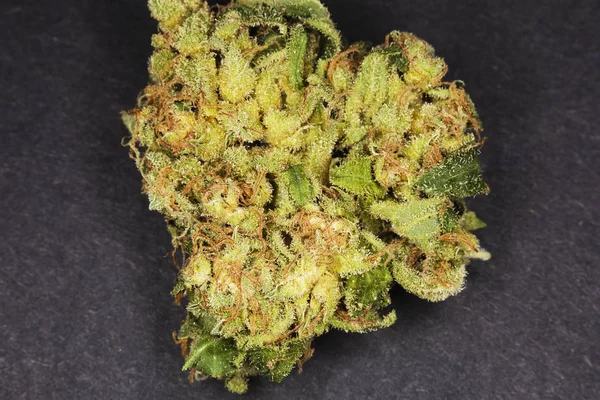 Brote de cannabis sobre fondo negro. Macro Marihuana —  Fotos de Stock