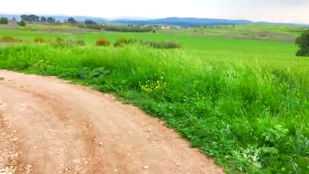 Hermoso paisaje rural de verano con cielo nublado — Vídeos de Stock