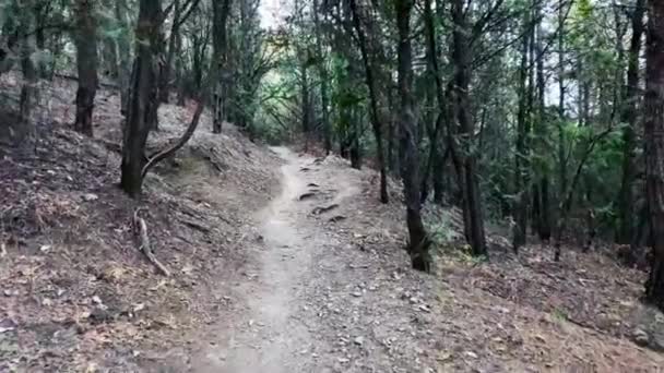  Un sentier qui traverse la forêt