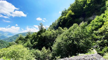 Gürcistan 'ın dağlık bölgesine git