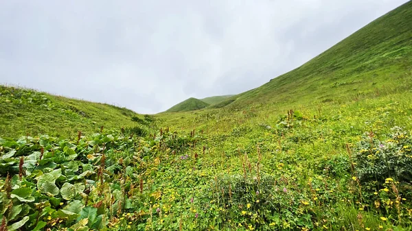 Viaggio nella regione montuosa della Georgia — Foto Stock