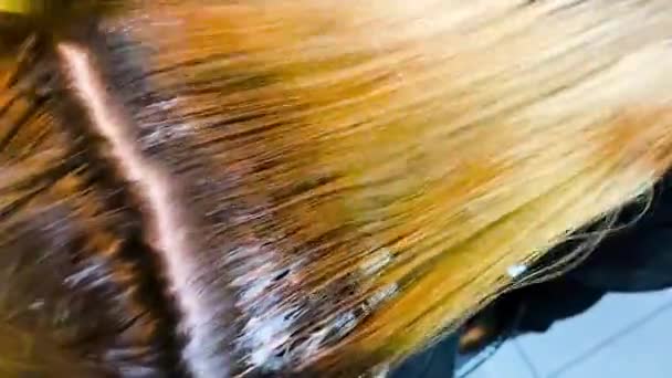 Salon rambut dan kecantikan. Pewarnaan rambut — Stok Video