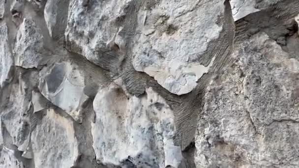Graue Massive Steinmauer — Stockvideo