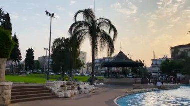 Şehir parkında palmiye ağaçları