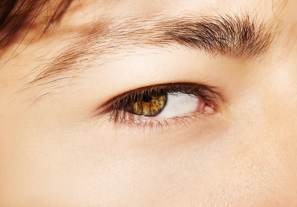 Un Beau Regard Perspicace Oeil De Garcon Gros Plan Concept Faire Stock Photo Un Beau Regard Perspicace Oeil De Garcon Gros Plan Concept Faire Stock Photo