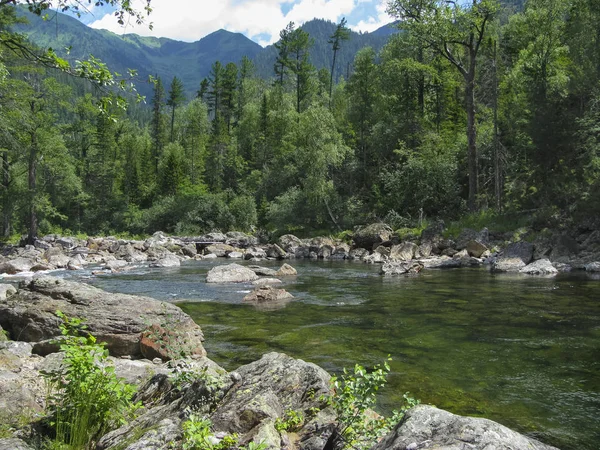 Ποταμού στο βουνό ξύλο περιβάλλον — Φωτογραφία Αρχείου