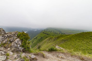 Altai Dağları. Katun Nehri.