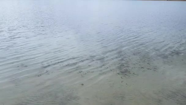 De beweging van het water op het meer. — Stockvideo