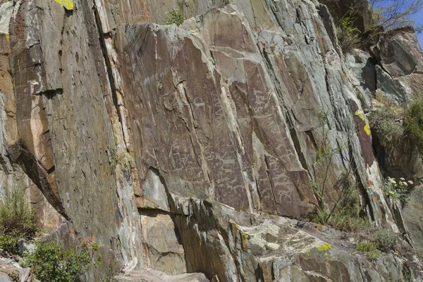 Rock carvings in Altai — Stock Photo, Image